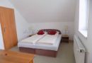 Apartmá u dvou boxerů