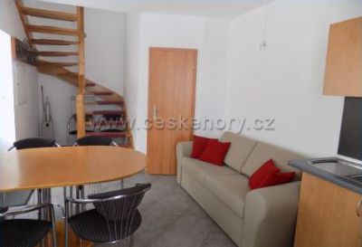 Apartmá u dvou boxerů