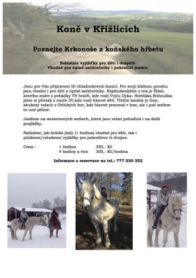 Chalupa v Krkonoších s bazénem, saunou a pivnicí