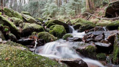 Chata u Jelení studánky - Pod Velkou Deštnou