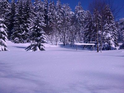 Chata u Jelení studánky - Pod Velkou Deštnou