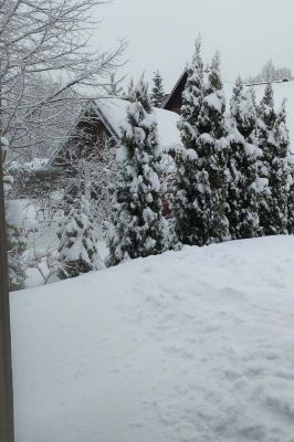 Chata u Konrada č.7