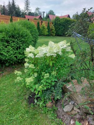 Chata u Konrada č.7