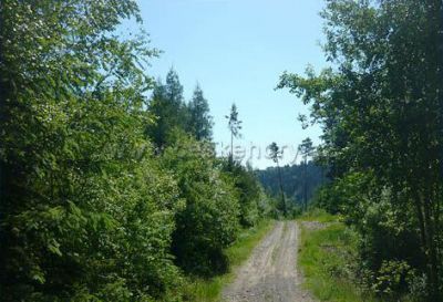 Vodácký a sportovní kemp U korfbalisty