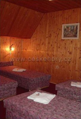 Hotel U krále Šumavy ***