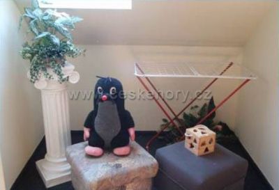 Pension restaurace u Krtka