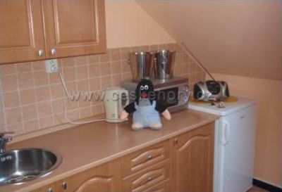 Pension restaurace u Krtka