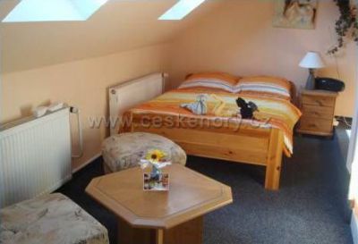 Pension restaurace u Krtka