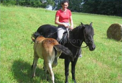 Kemp pension ranč U Kukačků