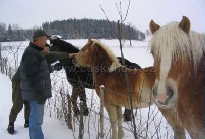 Kemp pension ranč U Kukačků