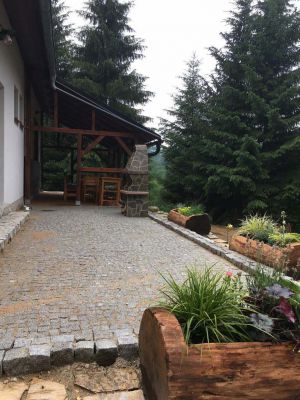 Chalupa u kvetoucího pařezu