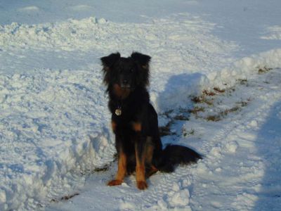 Apartmány u Lásků