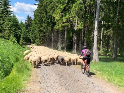 Ubytování U Lenule