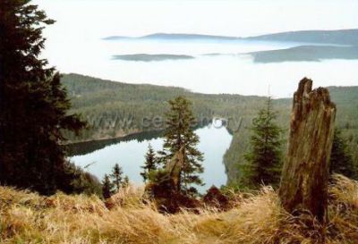 Apartmán U lesa - Nýrsko