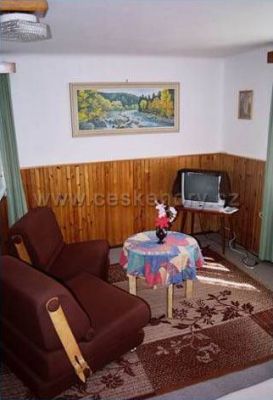 Apartmán U lesa - Nýrsko