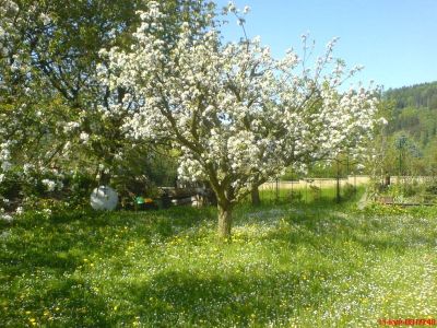 Privat Apartma Ulrych - Ubytování Liberec