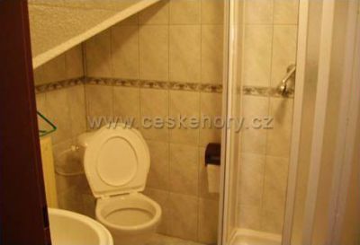 Horská chalupa U lyžáře