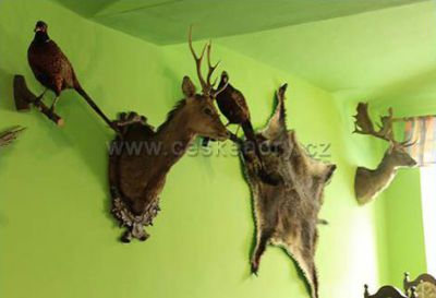 Penzion a restaurace U medvěda