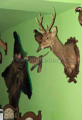 Penzion a restaurace U medvěda