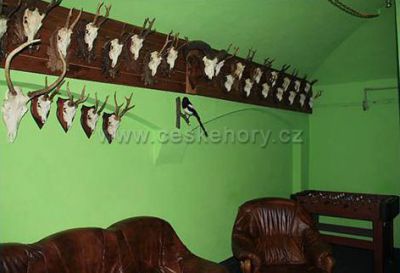 Penzion a restaurace U medvěda