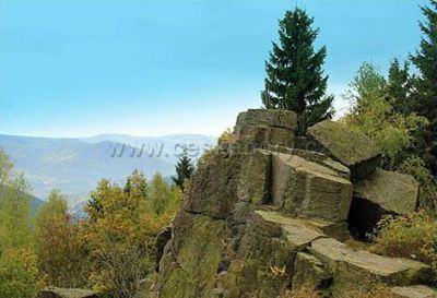 Penzion a restaurace U medvěda