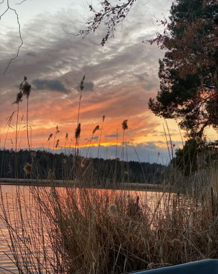 Chata u Milčanského rybníka