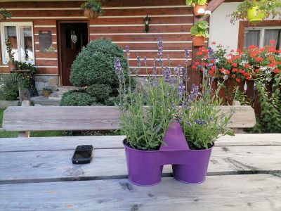 Ubytování u Mrázů Vyšovatka