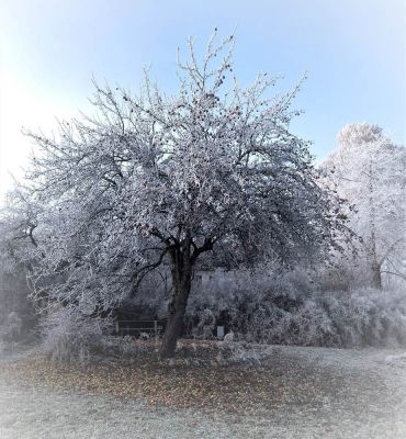 Ubytování u Mrázů Vyšovatka