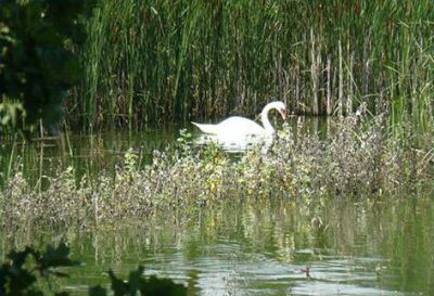 Chalupa u Prostředního rybníka