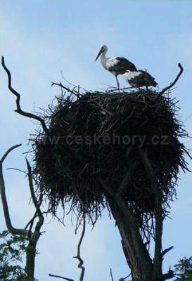Chalupa u Prostředního rybníka