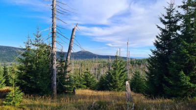 Apartmány U Ryplů Zadov