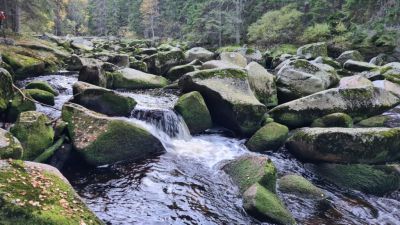 Apartmány U Ryplů Zadov