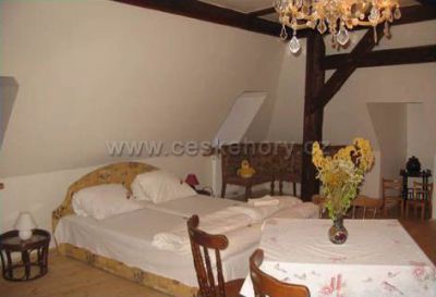 Restaurace a Penzion U Salvatora ****