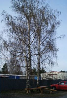 Ubytování U Šípků