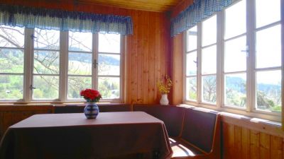 Chalupa U skiareálu Studenov