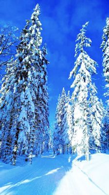 Chalupa U skiareálu Studenov