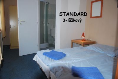 Penzion U Špičáku