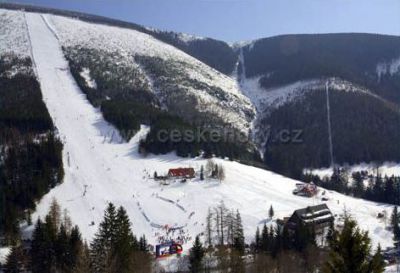 Pension U Šrenků ***