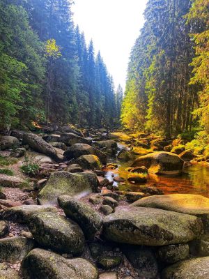 Ubytování U Studánky