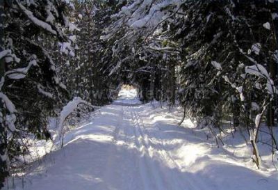 Penzion U Studeného potoka