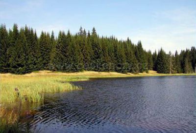 Penzion U Studeného potoka
