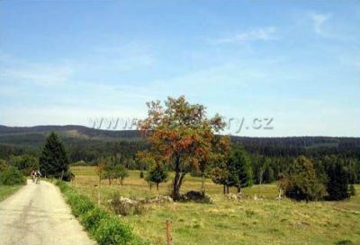 Penzion U Studeného potoka