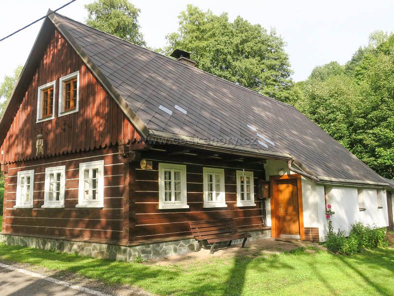 Javorník u Tichých