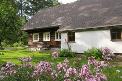 Javorník u Tichých