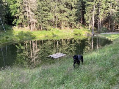 Chata u Tří smrků