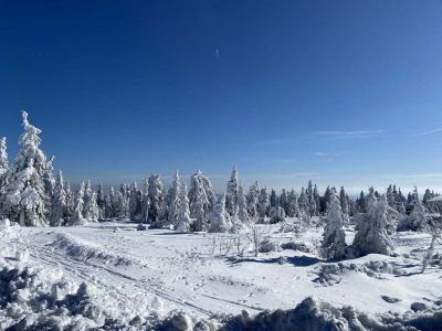 Chata u Tří smrků