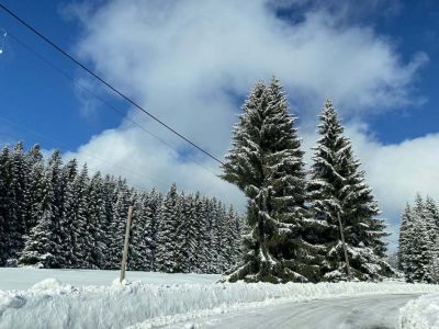 Chata u Tří smrků