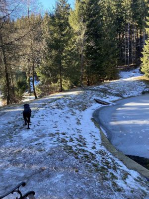 Chata u Tří smrků