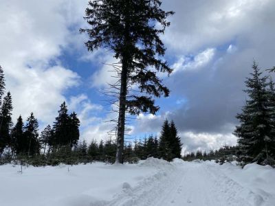 Chata u Tří smrků