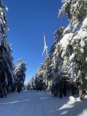 Chata u Tří smrků